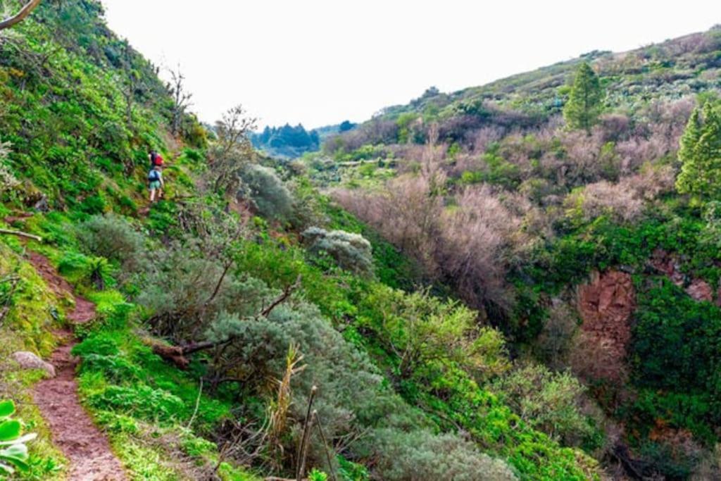 Casa La Veguetilla En San Mateo 维加-德圣马特奥 外观 照片