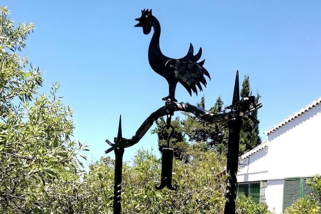 Casa La Veguetilla En San Mateo 维加-德圣马特奥 外观 照片