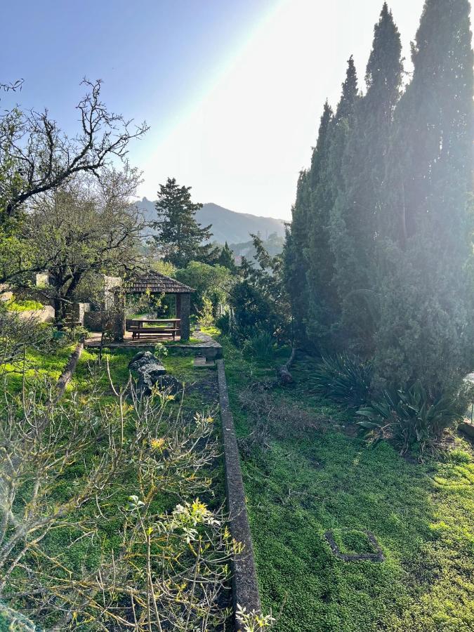 Casa La Veguetilla En San Mateo 维加-德圣马特奥 外观 照片