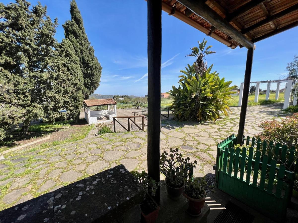 Casa La Veguetilla En San Mateo 维加-德圣马特奥 外观 照片