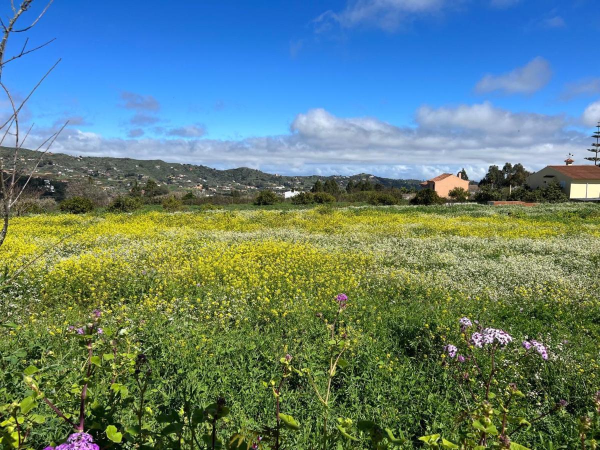 Casa La Veguetilla En San Mateo 维加-德圣马特奥 外观 照片